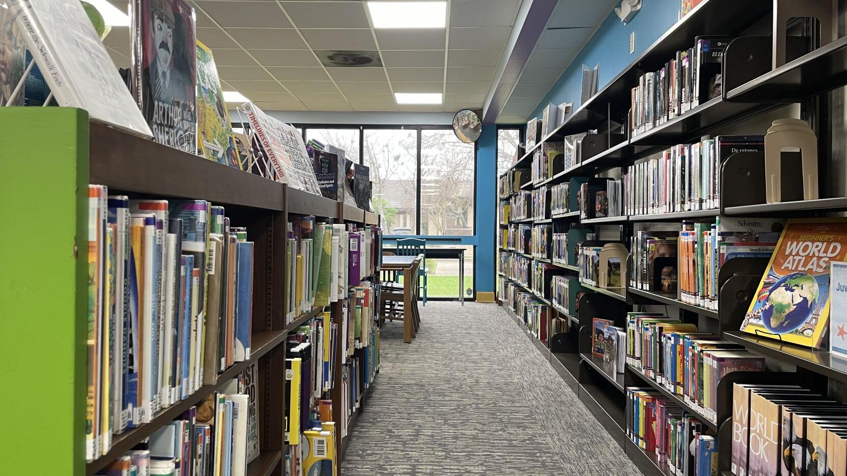 Library, drainage taxes fail in West BR. Leaders say they were caught in political crossfire.